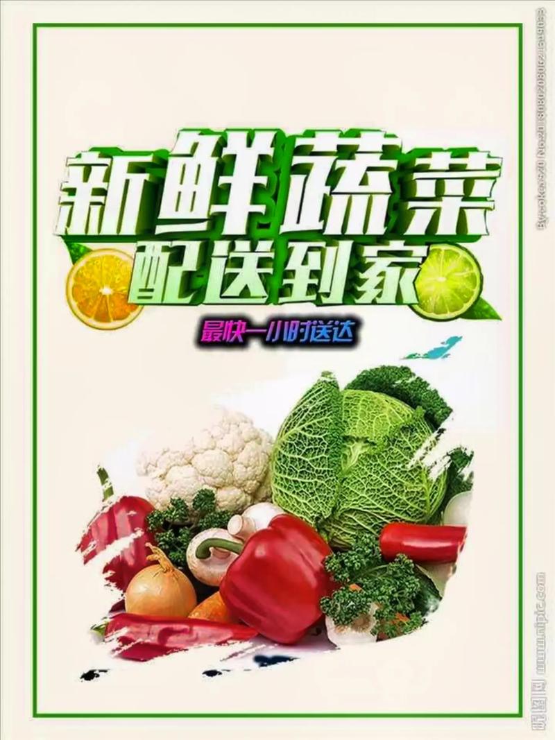 專業蔬菜批發配送服務 為工廠、學校、醫院食堂提供新鮮保障