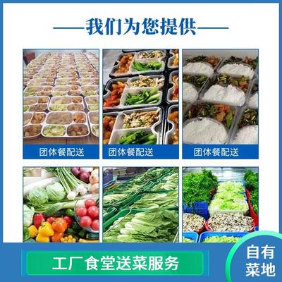 東莞蔬菜配送服務 高效、新鮮、批發的專業解決方案