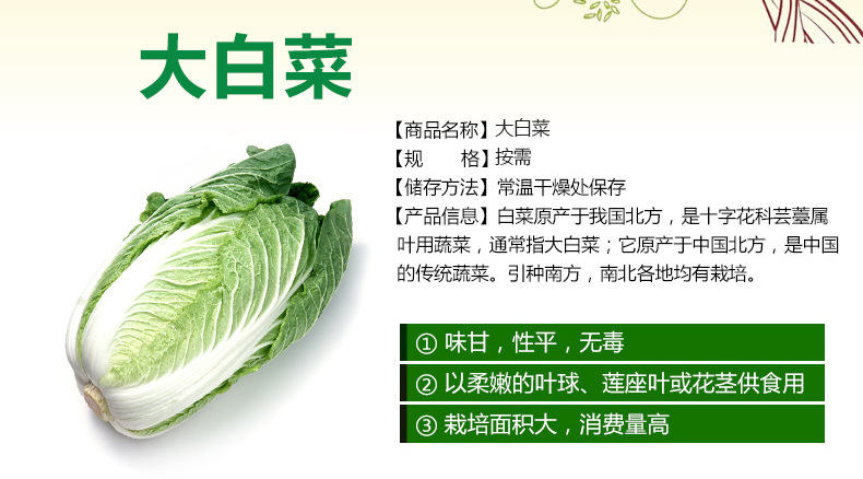 怡佳美果蔬 綠色健康，批發無憂——無公害大白菜的優選之道