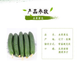 蘇子富春水果黃瓜——夏季綠色農家小黃瓜，新鮮現摘的東北特產｜嘗鮮正當時！